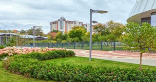 Профессиональное озеленение улиц в Каспийске в октябре
