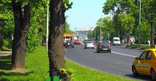 Посадка деревьев и кустарников в Каспийске — стоимость от 1222 руб.